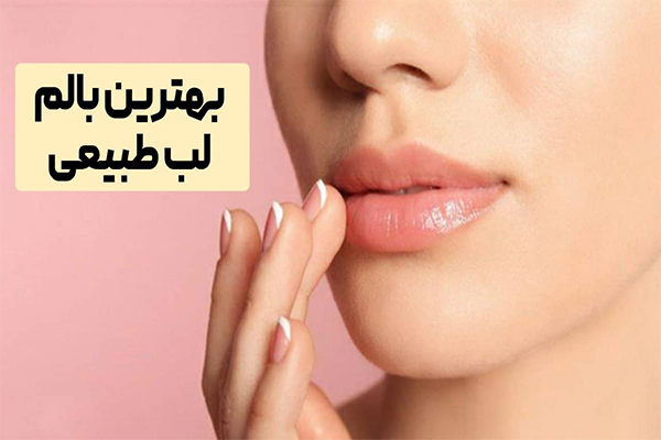 بالم لب اوردینری